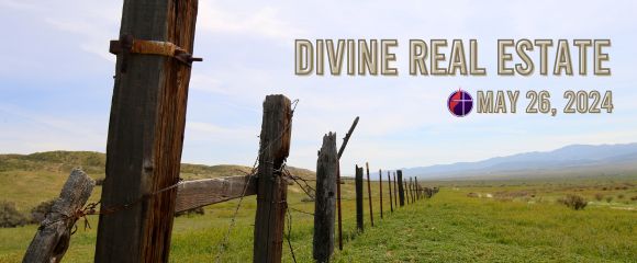 Divine Real Estate